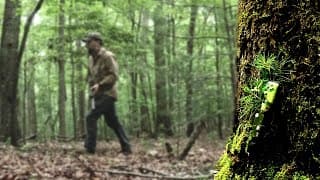 Perimeter Security For When Shtf!