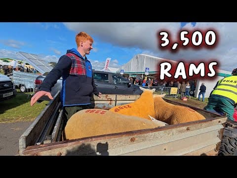Kelso.... It's More Than Just A Ram Sale!