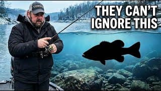 Bass In Cold Water React To This One Thing