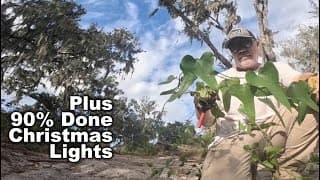 Thorny Vine Taking Over My Property