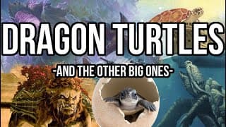 World, Lion And Dragon Turtles Are Awesome