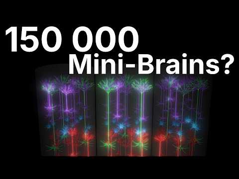 A Fundamental Unit Of Intelligence