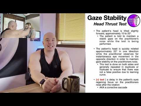Gaze Instability | Theory, Testing, Treatment [full Lecture]