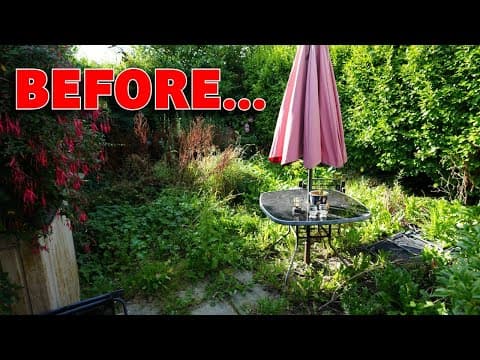 Giving This Forgotten Garden A Second Chance – Part 3