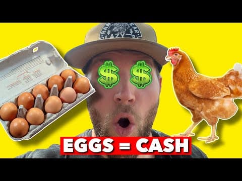 HOW TO MAKE SELLING EGGS A PROFITABLE BUSINESS