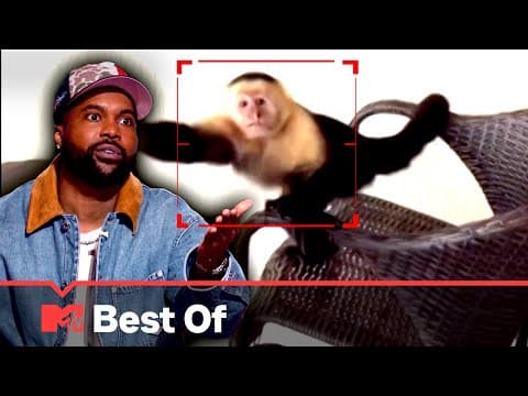 Ridiculousnessly Popular Videos: Unruly Animals Edition 🙊 Ridiculousness