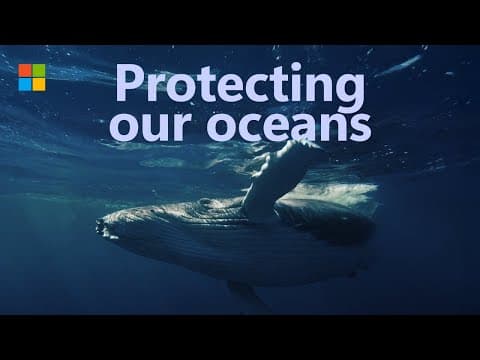 Uncovering The Hidden Dangers In Our Oceans