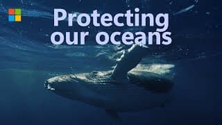 Uncovering The Hidden Dangers In Our Oceans