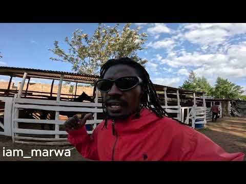 Goodnews  For Daniels Siblings