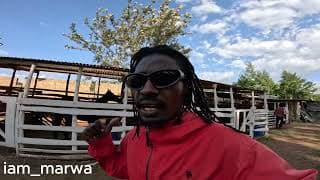 Goodnews  For Daniels Siblings