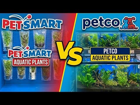 Petco Vs Petsmart Aquarium Plants - A Clear Winner!