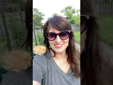 Throwback to our garden in the city. Check out the raised beds and our old coop! #selfwateringbeds