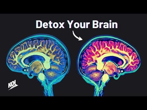 How I Reset My Dopamine Levels (and You Can Too)