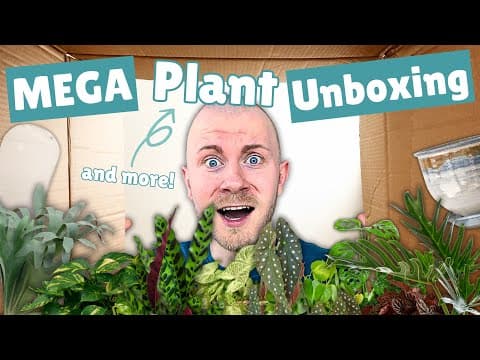 Mega Houseplant Unboxing | Plants, Planters, And More! (gabriella Plants, Sprout Home, Josh's Frogs)