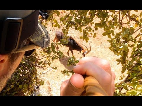 A Deadly Spear Thrown To The Mark, Sable, Drops Him In Seconds