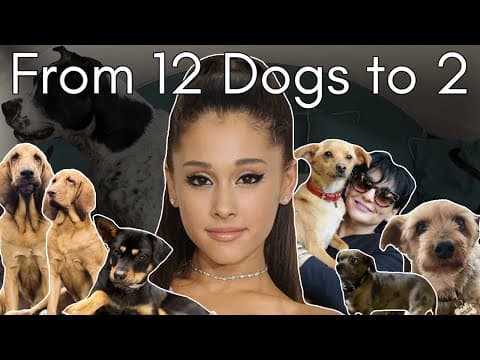 What Happened To All Of Ariana Grande's Pets? (dogs, Goats And A Pig)
