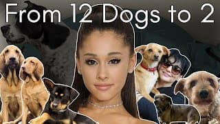 What Happened To All Of Ariana Grande's Pets? (dogs, Goats And A Pig)
