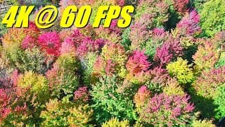 Fimi Mini 3 Drone Fall Foliage 4k 60fps