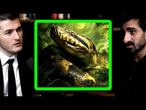 Why Anacondas Are Apex Predators | Paul Rosolie And Lex Fridman