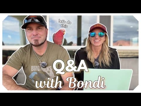 Bird Q&a: Your Most Asked Questions (featuring Bondi!)
