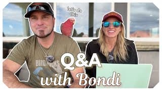 Bird Q&a: Your Most Asked Questions (featuring Bondi!)