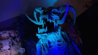 Live At Transworld Halloween Convention 2025 Attraction Show