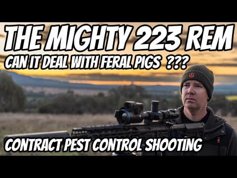 The Most Popular Rifle Cartridge In The World || The Mighty 223rem || Can It Deal With Feral Pigs