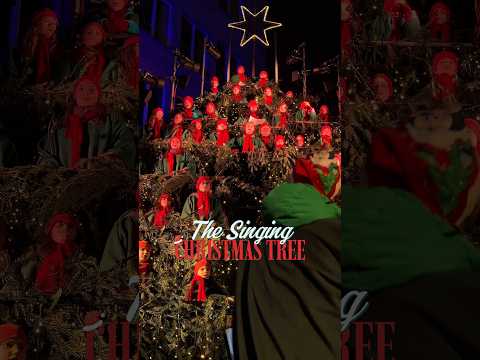 Zurich’s Singing Christmas Tree 😍🎄