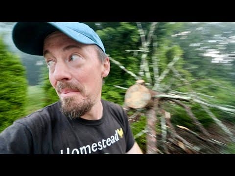 This Could Have Destroyed It