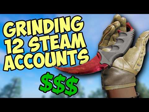 How Much Did I Make Grinding 12 Cs2 Accounts?