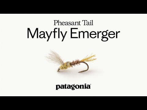 Pheasant Tail Mayfly Emerger By Craig Mathews | Fly Recipe
