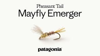Pheasant Tail Mayfly Emerger By Craig Mathews | Fly Recipe