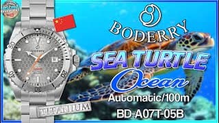 You Don't Have To Pay A Lot For Titanium! | Boderry Sea Turtle Ocean Titanium 200m Diver Bd-a07t-05b