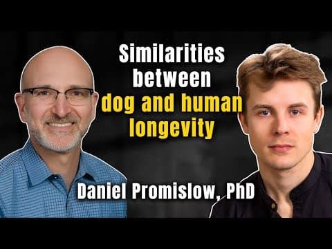 The Science Of Dog Aging (and How To Slow It Down)