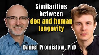 The Science Of Dog Aging (and How To Slow It Down)