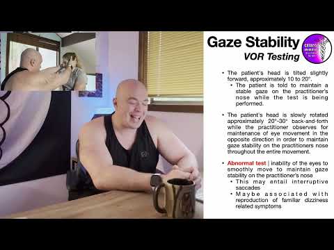 Gaze Instability | Theory, Testing, Treatment [part 1/2]