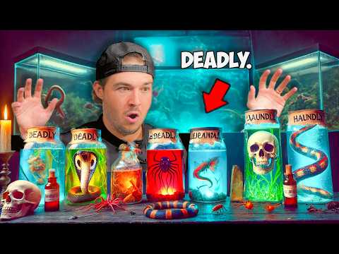 I Bought Every Exotic Fish From The Store To Stock My Saltwater Pond…