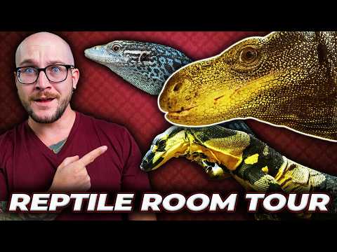 The Craziest Reptile Room I Have Ever Seen!