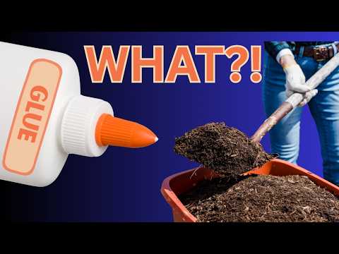 Mulch Glue What Is It?