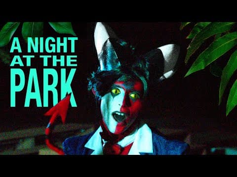 A Night At The Park