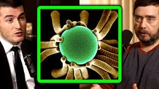 Controversial View On The Origin Of Life | Michael Levin And Lex Fridman