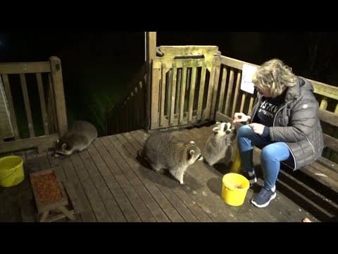 Angie Back Home Again