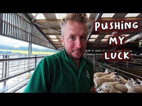 Clearing Out Our Older Sheep And I Almost Missed The Sale!!