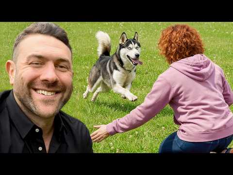 Rescue Dogs Meet Their Future Families For The First Time