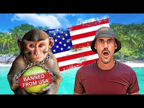 Monkeys Exploited For Coconuts In Thailand?