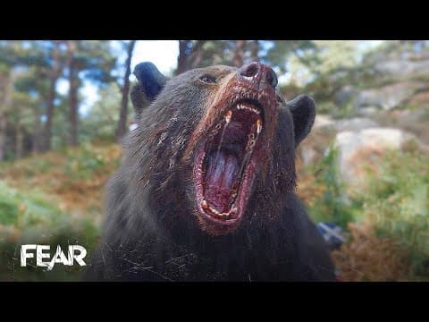 Cocaine Bear Is Lose