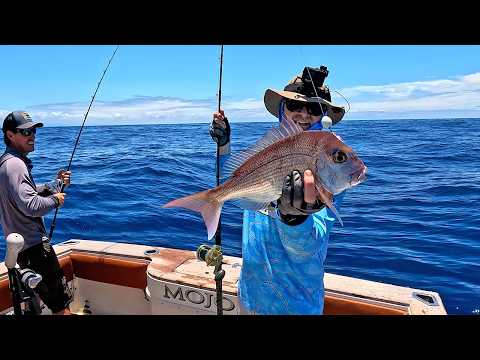 Fishing For A Feed | Snapper Catch & Cook Over The Fire