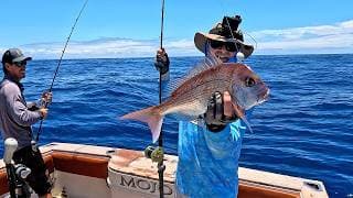 Fishing For A Feed | Snapper Catch & Cook Over The Fire