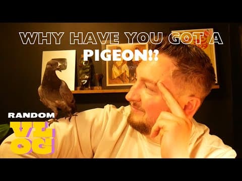 "why Have You Got A Pigeon!?" Vlog!