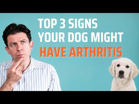 Top 3 Signs Your Dog Might Have Arthritis!